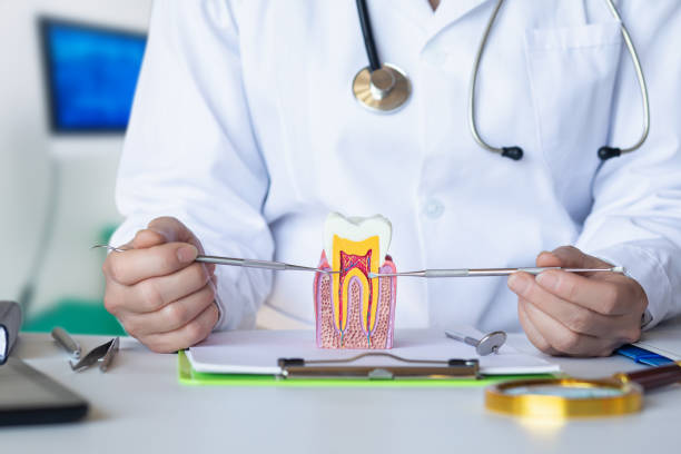 Best Knocked-Out Tooth Emergency  in Avalon, NJ